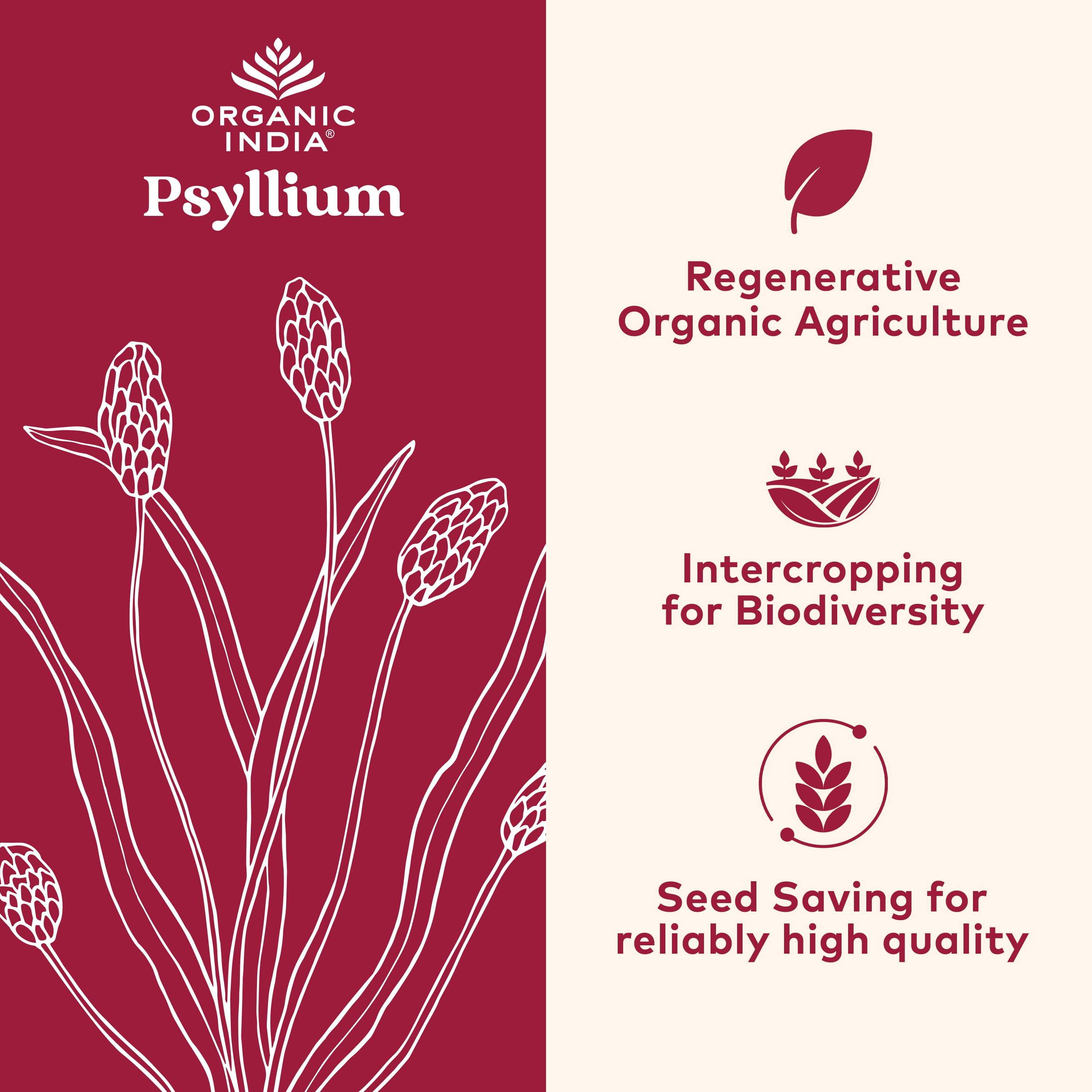 Organic India Psyllium, Whole Husk 100% Certified Organic Fiber, Natural Dietary Fiber 12 oz