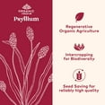 thumbnail image 3 of Organic India Psyllium, Whole Husk 100% Certified Organic Fiber, Natural Dietary Fiber 12 oz, 3 of 10