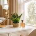 thumbnail image 4 of Qholemyo Assorted Mini Pine Potted Plants Fake Plants Home Decor Artificial Plants Straw Basket For Tabletop Christmas Indoor Arrangement, 4 of 6