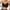 Black, variant on Women Seamless Bra with Clear Shoulder Strap No Underwire Comfort Soft Wireless Bralette Full Coverage Sport Everyday Bra