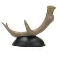 thumbnail image 2 of BKER Deer Horn Shape Wine Rack Resin Decorative Piece For Home Stylish Tabletop Ornament Unique Animal Wine Stand For Living Room And Kitchen Décor Wine Rack Resin Decorative Items, 2 of 7