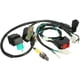thumbnail image 3 of Enchufe del arnés de cableado del interruptor de parada de bobina para 110CC 125CC 140CC Pit Bike, 3 of 5