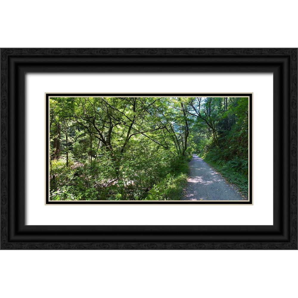 Grayscale 32x19 Black Ornate Wood Framed with Double Matting Museum Art Print Titled - Forest Canopy II