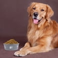 thumbnail image 2 of Miangastore 1 Pce Bol pour Animaux Bol Imprimé pour Chien Bol de Service pour Nourriture de Chat Récipient de Stockage de Nourriture, 2 of 8