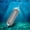 03, variant on 4.7 Inch Reflective Metal Trolling Fishing Lure, Rotating Fishing Flasher, Durable Fishing Accessories for Saltwater Freshwater (03)