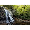 thumbnail image 3 of Head, Danny 18x13 Black Modern Framed Museum Art Print Titled - Spruce Flat Falls at Morning, 3 of 5