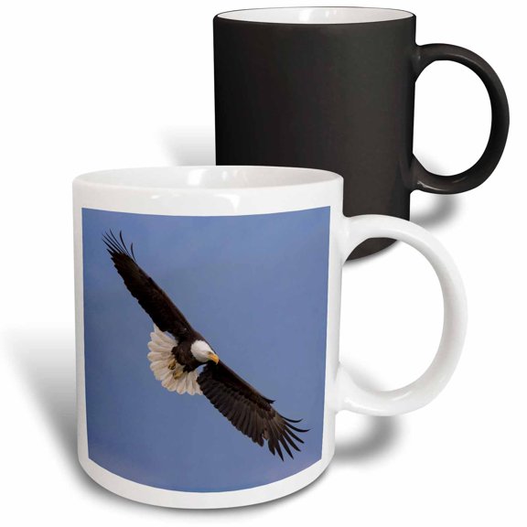 3drose, Bald Eagle Flying, 11oz Magic Transforming Mug