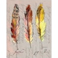 thumbnail image 2 of Gorham, Gregory 26x32 White Modern Wood Framed Museum Art Print Titled - Three Feathers II, 2 of 4