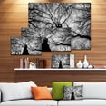 thumbnail image 3 of Hoto de Branches d'Hiver - Impression sur Toile de Paysage, 3 of 4