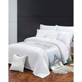 thumbnail image 3 of Xipuska Blue Christmas Bed Runners for Queen Size Bed, Decorative Bed Throws for Foot of Bed, Xmas Snowman Winter Forest Pine Tree Bunny Bed Runner Sofa Throw Bedding Scarf Slipcover for Bedroom, 3 of 6