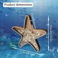 thumbnail image 3 of Starfish Wooden Display Storage Box with Acrylic Panel Shell Collection Shadow Box for Sea Glass Shark Teeth Mini Seashells Beach Treasure Keepsake Memory Box Coin Bank Home Coastal Decor, 3 of 8