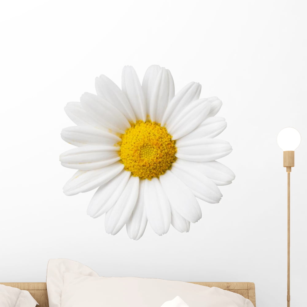 DAISY MIRRORED 3D WaLL DeCaLS Room Decor Stickers Flowers Decorations Daisies 