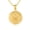 Yellow, variant on Gold United States Navy Officially Licensed Shield Eagle Anchor Emblem Medallion Pendant Necklace (10K Yellow Gold, Pendant with 16" chain)