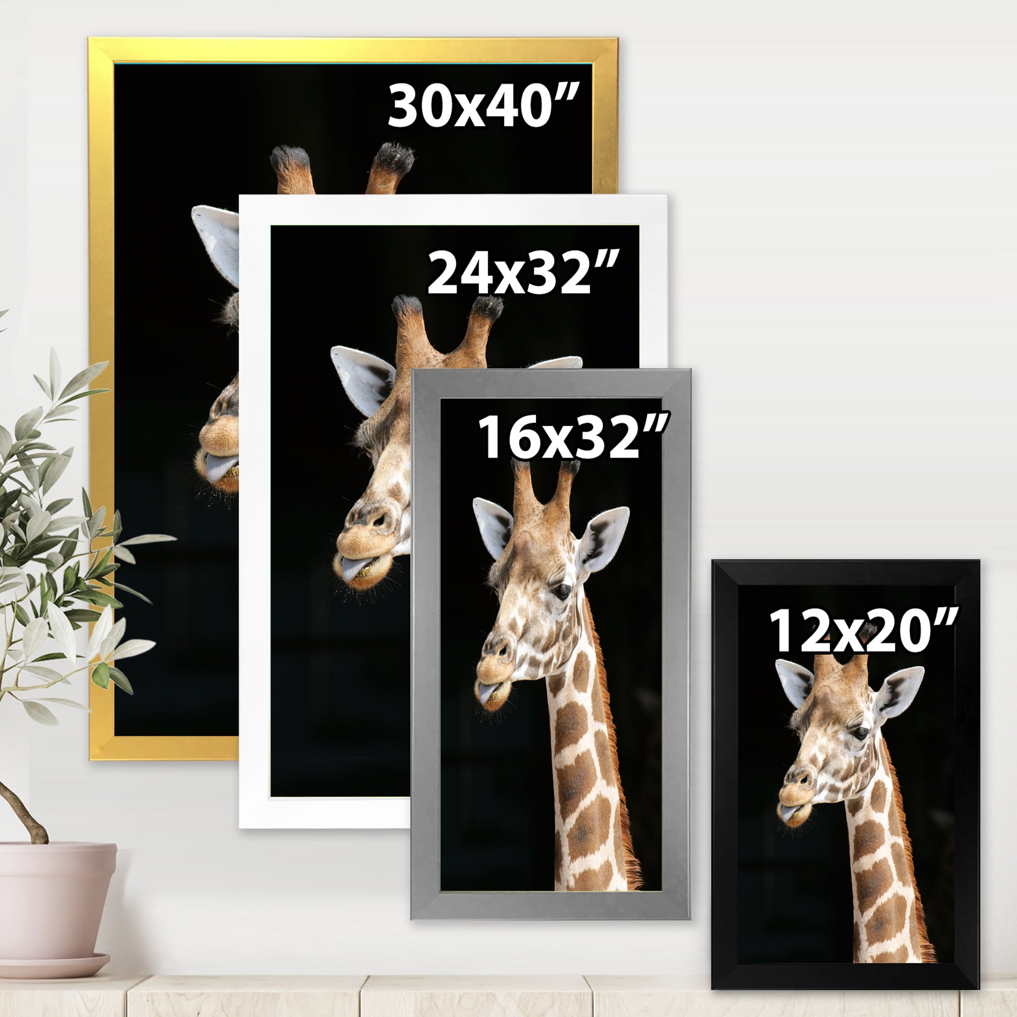 Designart 'Close Up Portrait Of A Giraffe On Black III' Farmhouse Framed Art Print