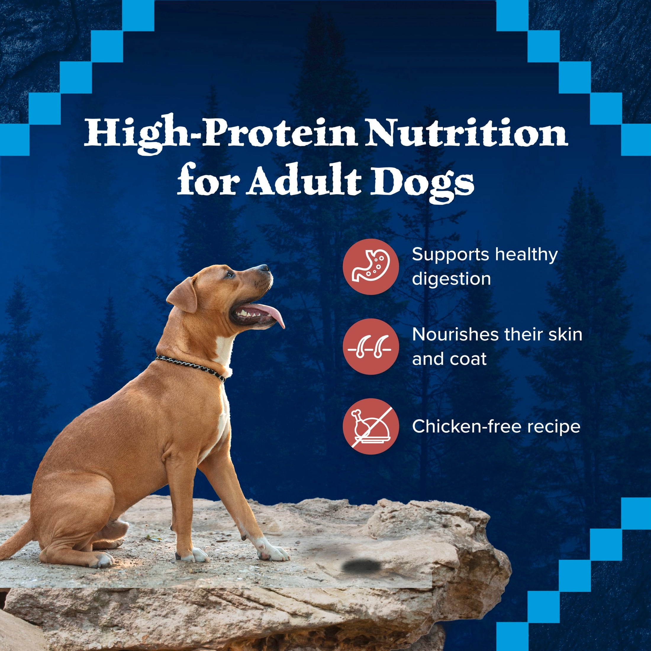 (12 pack) Blue Buffalo Wilderness Adult Wet Dog Food, Grain Free, Red Meat Paté, 12.5oz Can