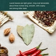 thumbnail image 4 of Soeos Whole Bay Leaves 2oz, Dried Laurel, Non-GMO Verified, Herb for Marinades, Stews and Soups, 4 of 9