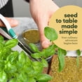 thumbnail image 5 of 9 Herb Window Garden Kit  - Best Gift Ideas for Women, Friend, Her, Mom - Birthday Gifts - Housewarming Present - House Plant Seeds, 5 of 7