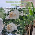 thumbnail image 1 of Fleurs Artificielles Arche Style Élégant Guirlande en Soie Simulation Feuilles Roses Guirlande Porte Toile de Fond pour Réception de Mariage Couleur Automne, 1 of 7
