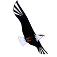 thumbnail image 1 of TISHITA 3D Bald Eagle Huge Kite for Kids And Adults Single Line String Easy for Beach 200x98cm, 1 of 8