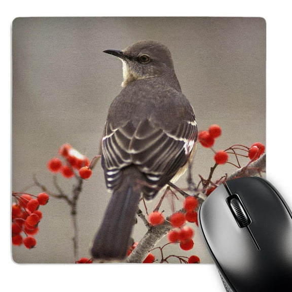 3dRose, Mockingbird among hawthorn berries - NA02 AJE0227 - Adam Jones, MousePad