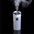 thumbnail image 3 of Pequeño O Anion Mist Maker Ambientador Hogar SPA Oficina Suministro De Habitaciones Decoración Sunnimix Mini Decoración, 3 of 8