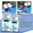 thumbnail image 3 of Less Than 5 Other Cleaning Supplies Effervescent Pool Cleaner Tablets Fast Dissolving Eliminator & Water Clarifier, 3 of 8