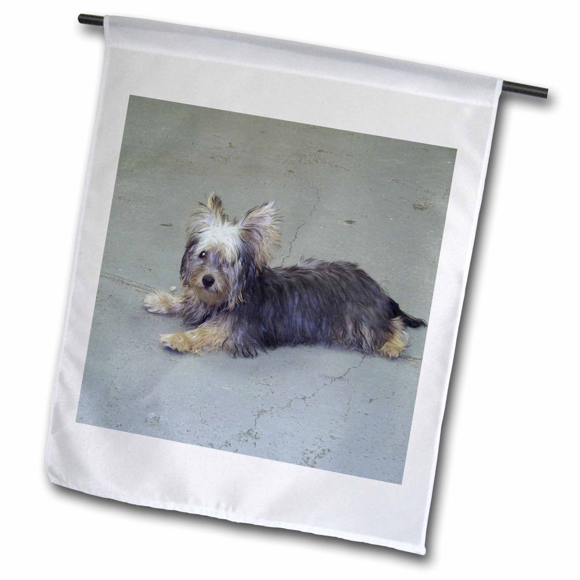 3dRose Yorkie Garden Flag, 12 by 18inch