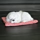 thumbnail image 5 of Muñeco de peluche de perro durmiendo de simulación de Yoone para niños con sonido, 5 of 7
