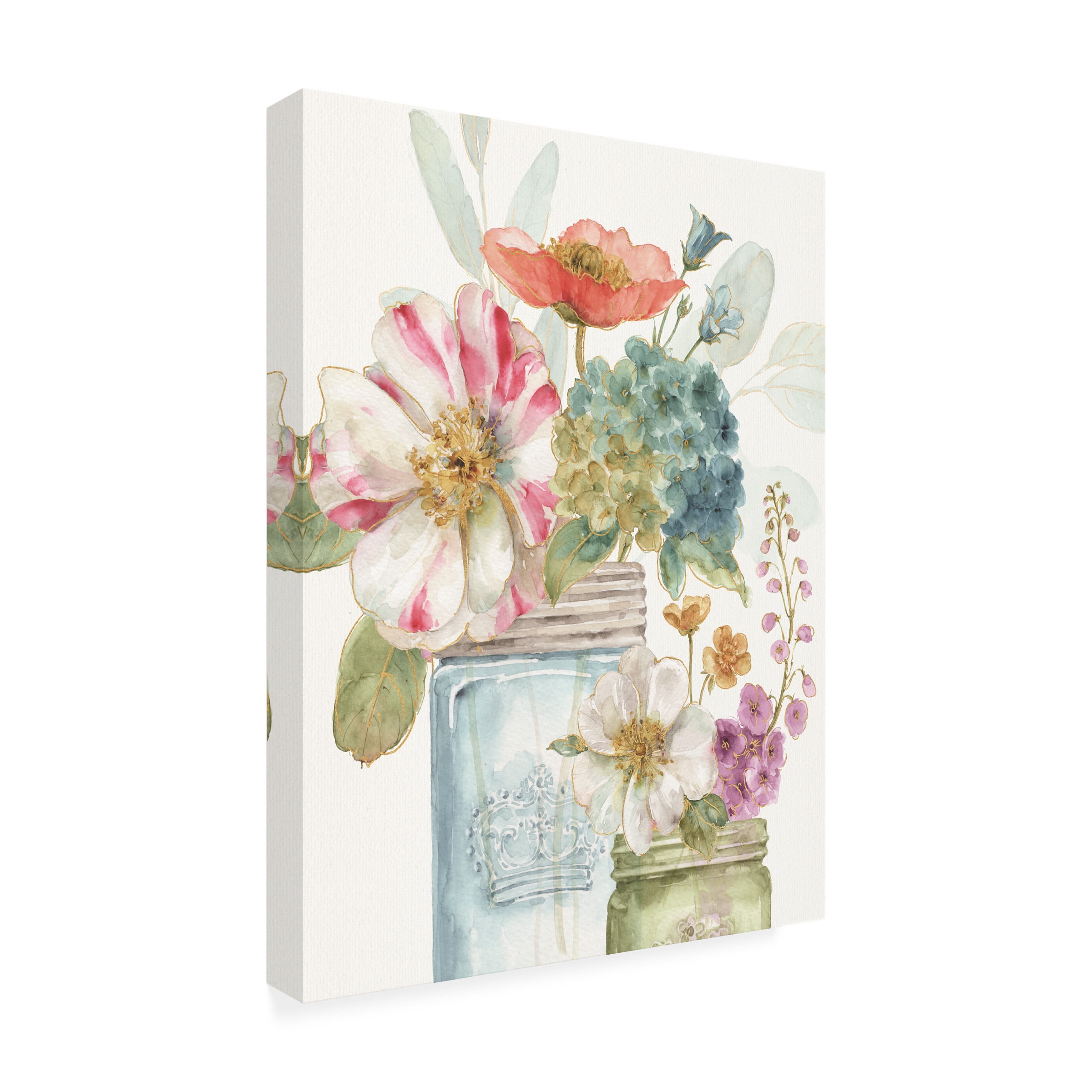 Trademark Fine Art 'Rainbow Seeds Flowers IX' Canvas Art by Lisa Audit