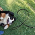 thumbnail image 4 of Correa de cuero sintético para entrenamiento y paseo de mascotas. Correas coloridas con brillantes incrustaciones de diamantes de imitación para gatos o perros (negra)., 4 of 8