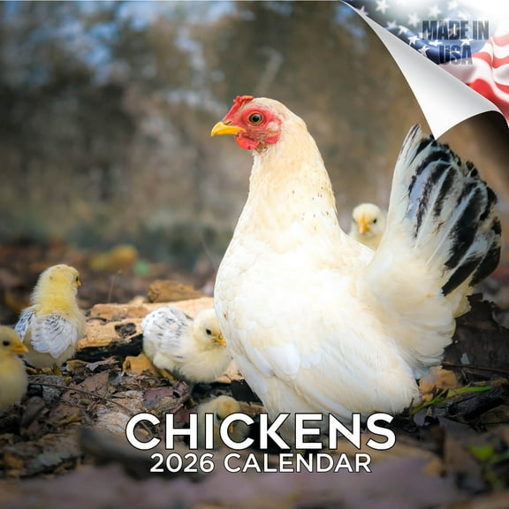 2025 2026 Chickens Calendar - Wildlife Monthly Wall Calendar - 12 x 24 Open - Thick No-Bleed Paper - Giftable - Academic Teacher's Planner Calendar Organizing & Planning - Made in USA