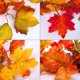 thumbnail image 3 of Guirnalda de hojas de arce artificiales de otoño, planta colgante de otoño para la decoración de la chimenea de la puerta de la pared del jardín del hogar, 5.7 pies Namotu XMWJ104, 3 of 7
