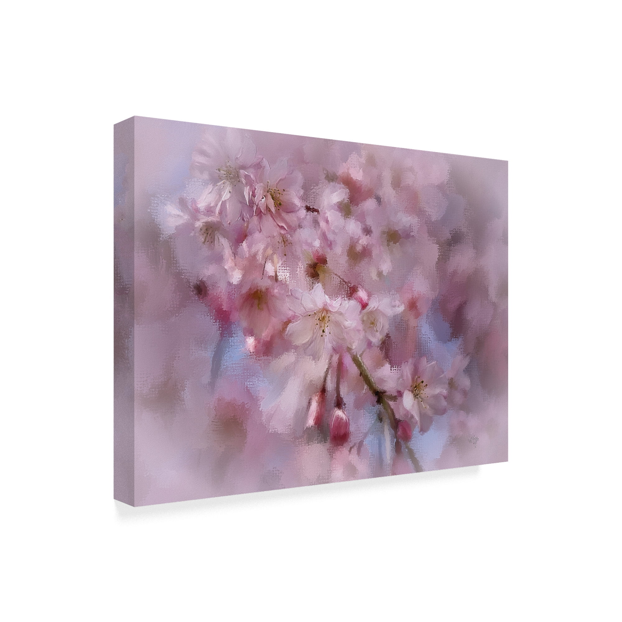 Trademark Fine Art 'Cherry Tree Branch' Canvas Art by Lois Bryan