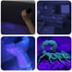 thumbnail image 3 of Linterna UV Luz negra, Vansky 51 LED Blacklight Detector de orina para mascotas para orina de perro/gato, manchas secas, chinches, a juego con eliminador de olores de mascotas Jormftte WRQX-29, 3 of 4
