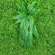 thumbnail image 2 of Plantas artificiales Decoración de pared Colgante al aire libre Plástico Falso hoja verde Fondo Decoración de boda, L Yuarrent HA005109-03, 2 of 6