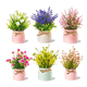 thumbnail image 1 of Plantas Artificiales Flor Bonsai En Macetas Decoración 6pcs Malubero,  Multicolor, 1 of 3