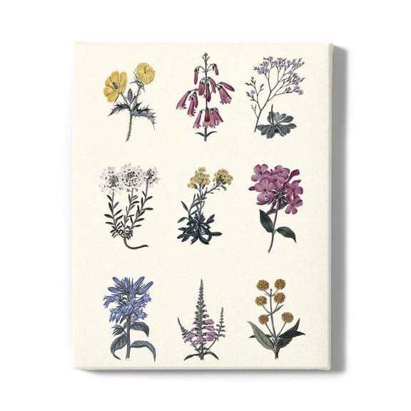 Antique Floral Chart. Wrapped Canvas -Vision Studio Designs,