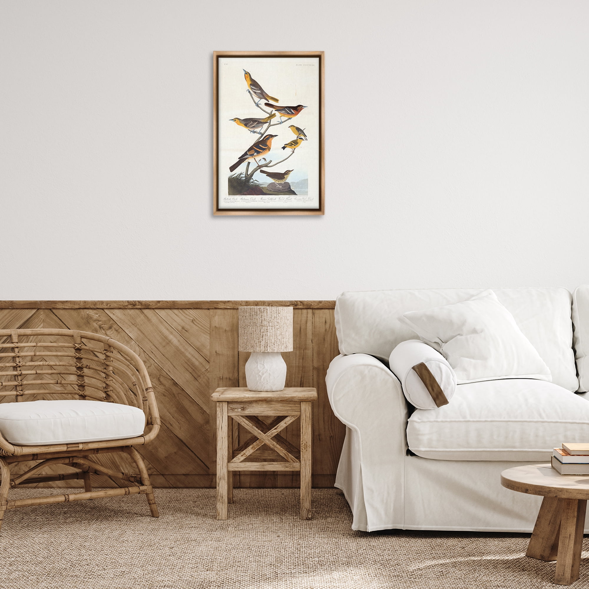 Stupell Industries Classic Bullock's Oriole Study Animals Painting Brown Floater Framed Canvas Art Print Wall Art, 17 x 25