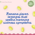 thumbnail image 4 of Three Lollies Queasy Drops - Banana Flavor - Relief from Chemotherapy Nausea & Travel Sickness - Alleviates a Dry Mouth - Drug Free, Non-Drowsy - Natural Ingredients - 21 ct, 4 of 6
