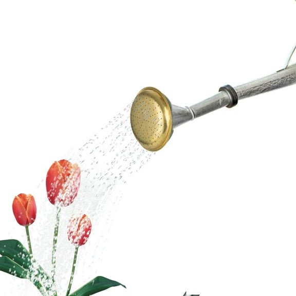 Kings County Tools 2 Gal Indoor Outdoor Galvanized Steel and Brass Watering Can with Removable Spout, Green