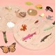 thumbnail image 3 of Tablero Del Ciclo De Vida Montessori. El Tablero De Deducción Circular Es Un Material Didáctico Fabricado En Madera Para La Educación Temprana De Niños En Edad Preescolar: Mariposas, Ranas, Pollitos, 3 of 3