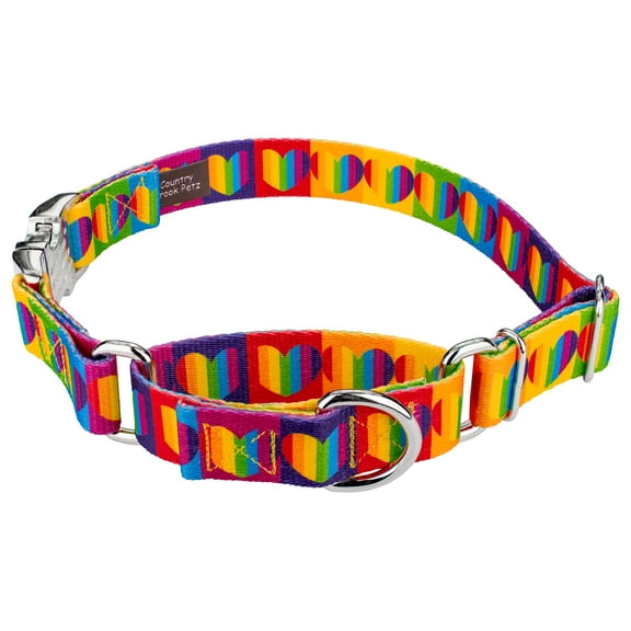 Country Brook Petz® Rainbow Hearts Martingale with Premium Buckle Dog Collar, Extra Large