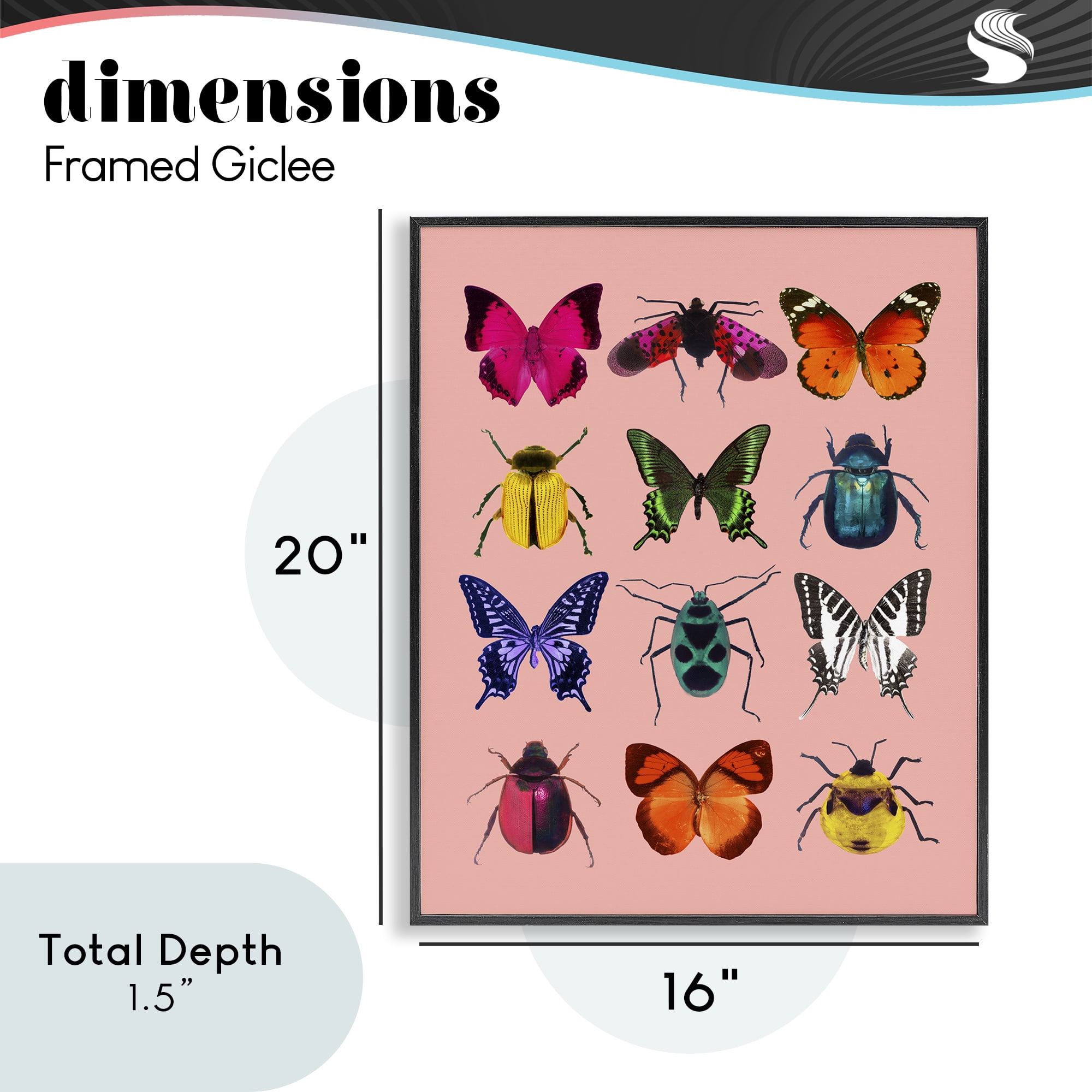 Colorful Bug Species on Pink Black Framed Giclee Art, design by LISH Creative