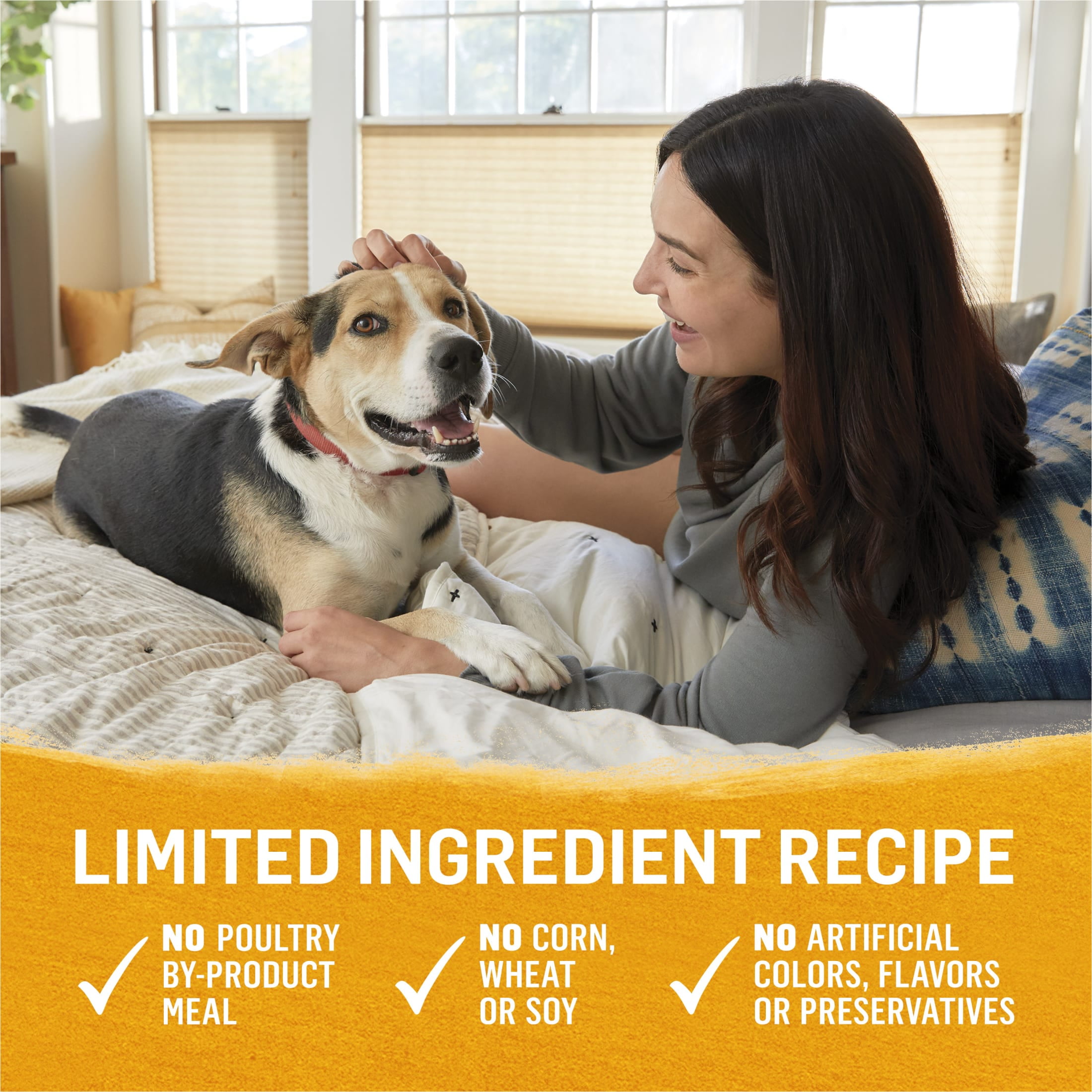 Purina Beyond Immune Health Wet Dog Food Real Soft Chicken, Carrot & Pea, 13 oz Can