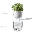 thumbnail image 4 of Self Watering Pots for Indoor Plants, Flower Pots, Self Watering Plant Pot-3pcs 6inch Clear, 4 of 6