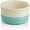 Turquoise, variant on SWEEJAR Ceramic Dog Bowls, Dog Food Dish for Small Dogs and Cat, Heavy Duty Porcelain Pet Bowl for Food and Water,17 oz,White