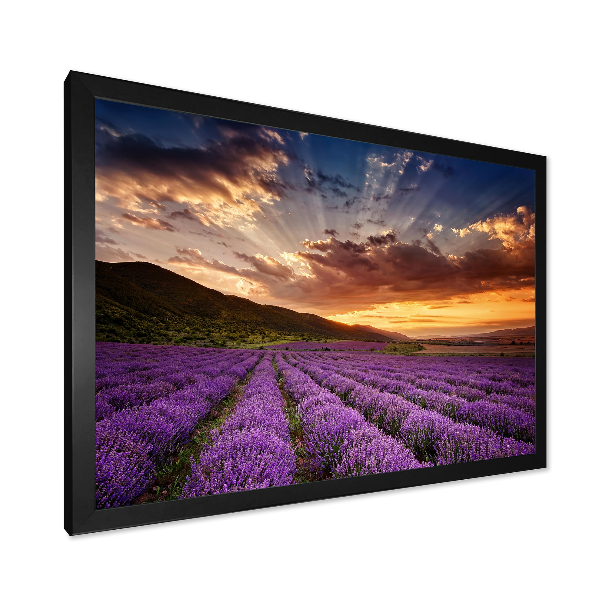 Designart 'Dramatic Clouds and Sunrise Over Lavender Field X' Farmhouse Framed Art Print