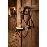 Challenger Horse Adjustable Leather Bitless Bridle Training Hackamore 35H07