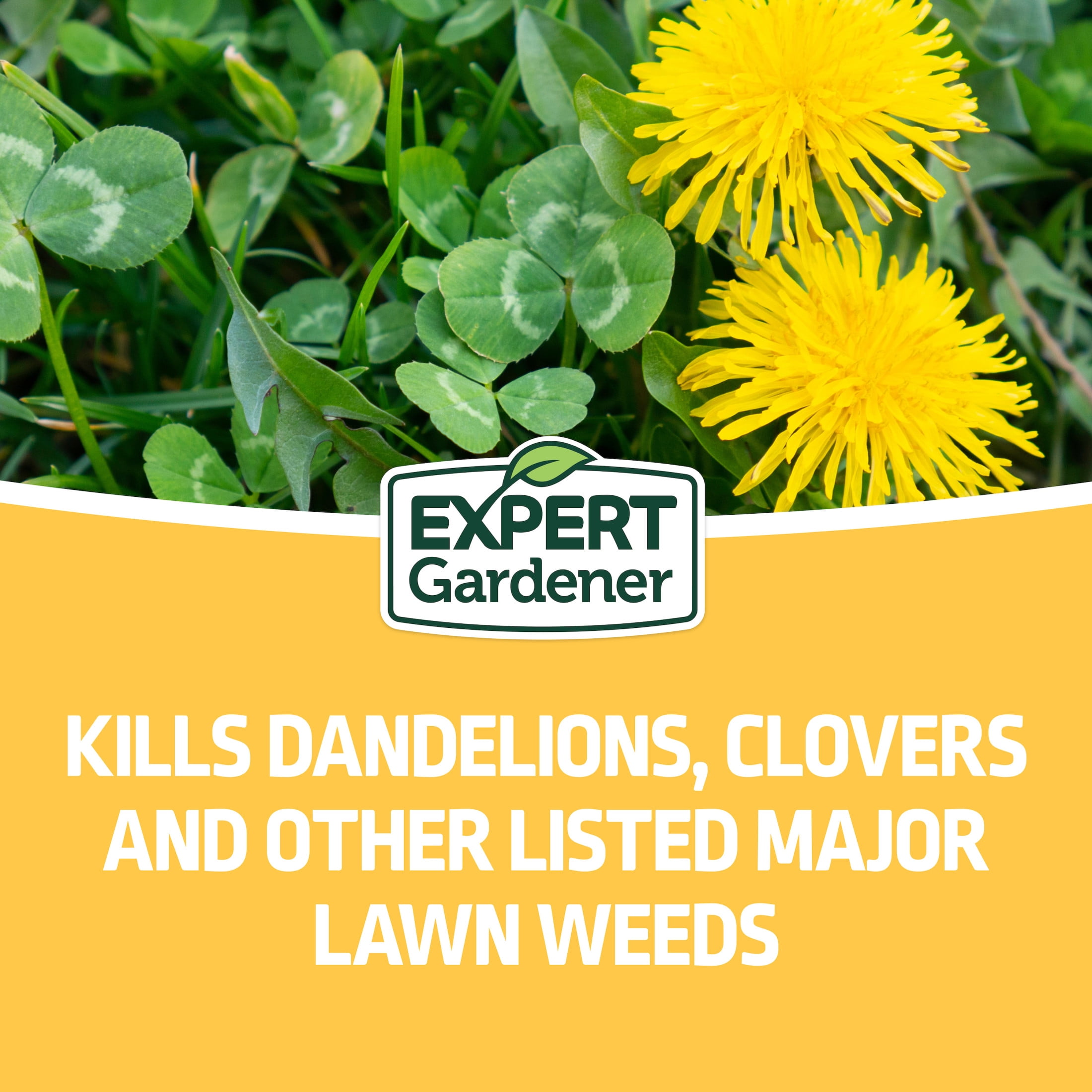 (2 pack) Expert Gardener Weed and Feed Fertilizer Ready to Spray 32 oz.
