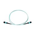 thumbnail image 1 of Axiom - Network cable - MTP/MPO multi-mode (F) to MTP/MPO multi-mode (F) - 8 m - fiber optic - 50 / 125 micron - OM3 - riser - aqua, 1 of 4